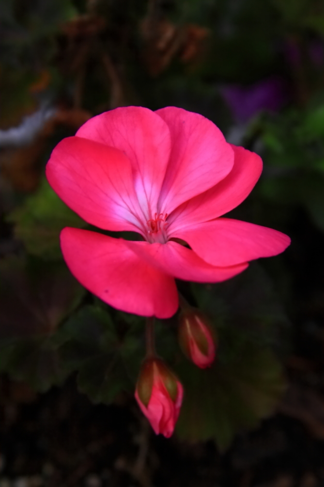 2011 12 02 2656